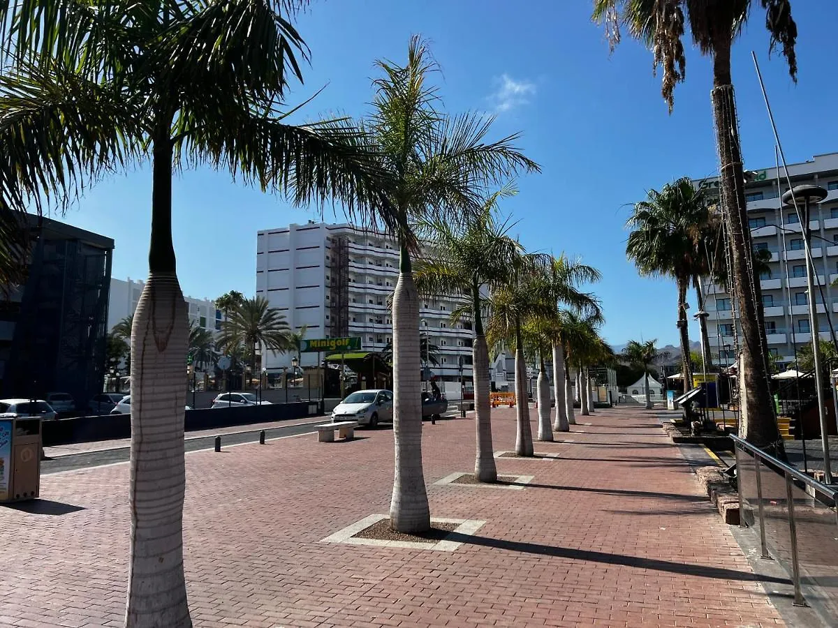公寓 Agaete Parque Av De Tenerife Maspalomas 西班牙